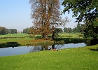 Der von Lenné angelegte Landschaftspark von Schloss Basedow : Park, Teich, Angler