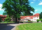 Der halbrunde, teilrestaurierte Marstall von Ivenack : Marstall, Baum