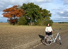 Auf Fahrradtour in Mecklenburg : Fahrrad, Baum, Tove