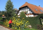 Carlshof, das kleine Dorf in der Nähe von Burg Schlitz, wurde liebevoll renoviert – besuchenswert! : Dorf, renoviert, Blumen, Fachwerkhaus, Tove